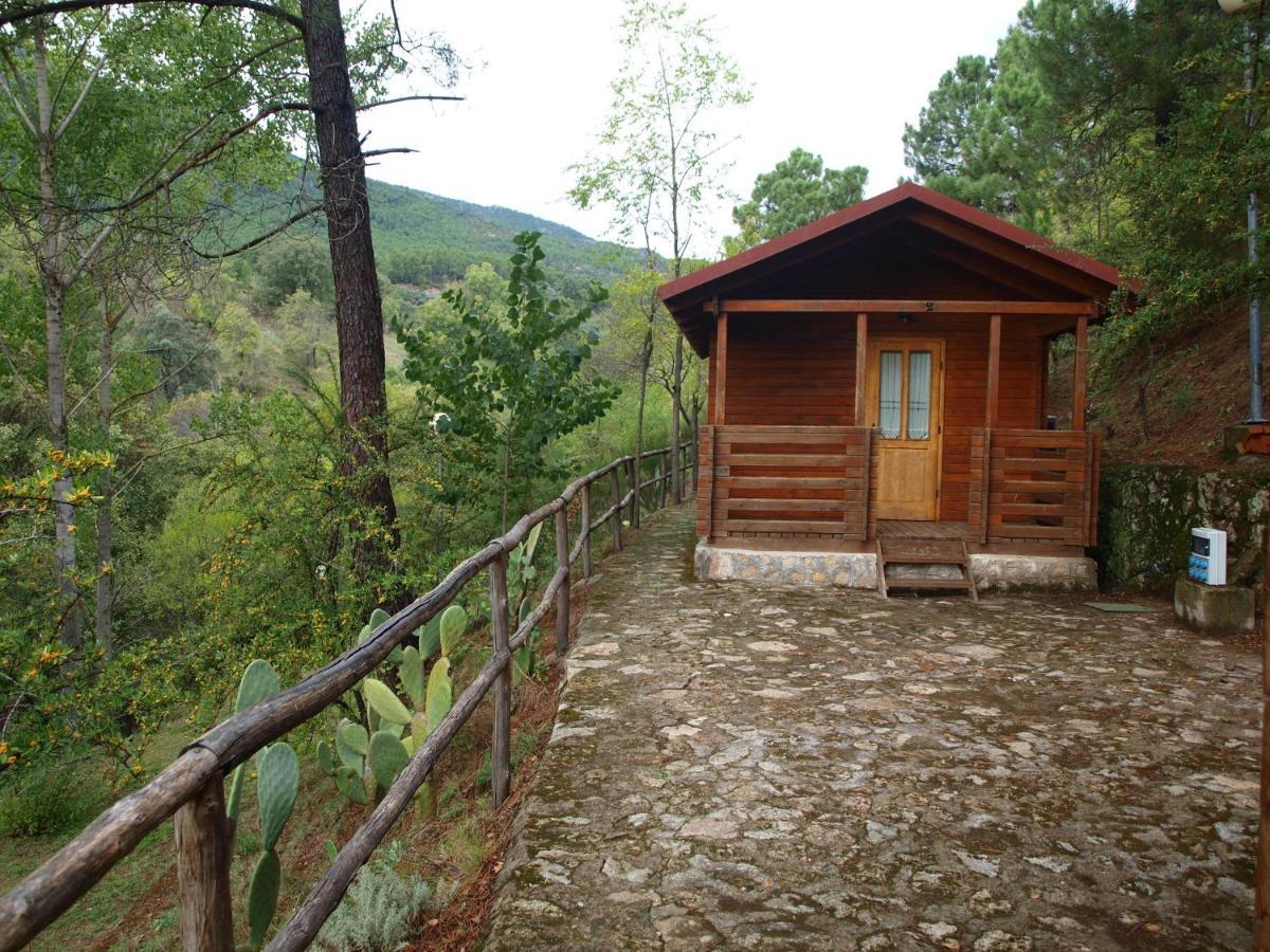 Camping La Eliza Otel Lanzahita Dış mekan fotoğraf