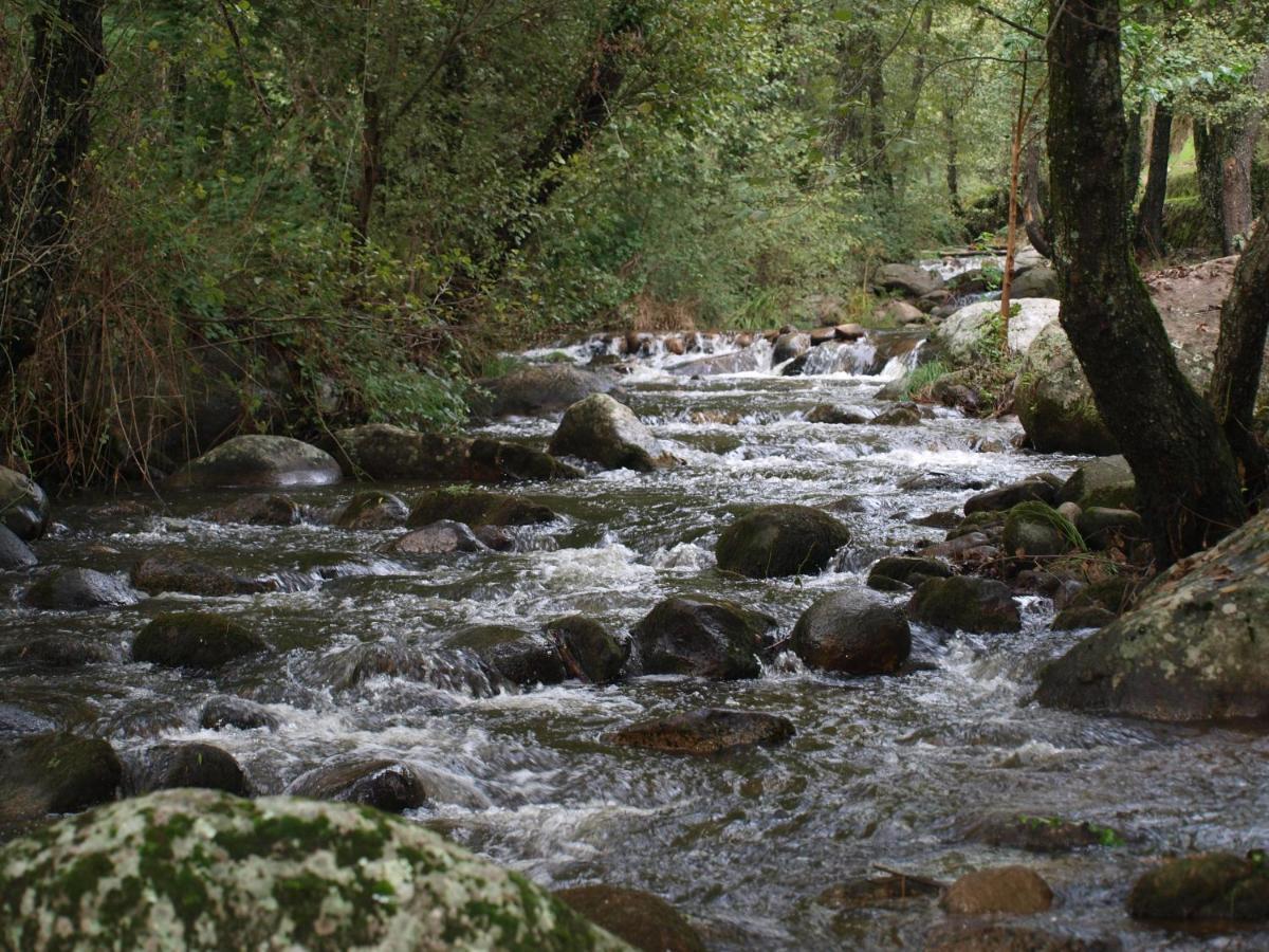 Camping La Eliza Otel Lanzahita Dış mekan fotoğraf